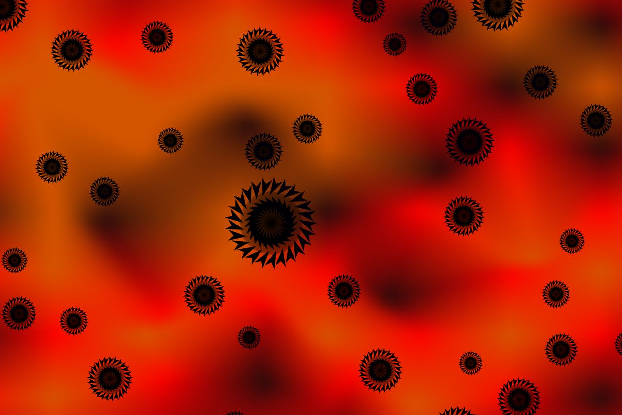 Lva 1280x854.  Tapeta, tapetka, wallpaper, pozad, wallpaper na plochu