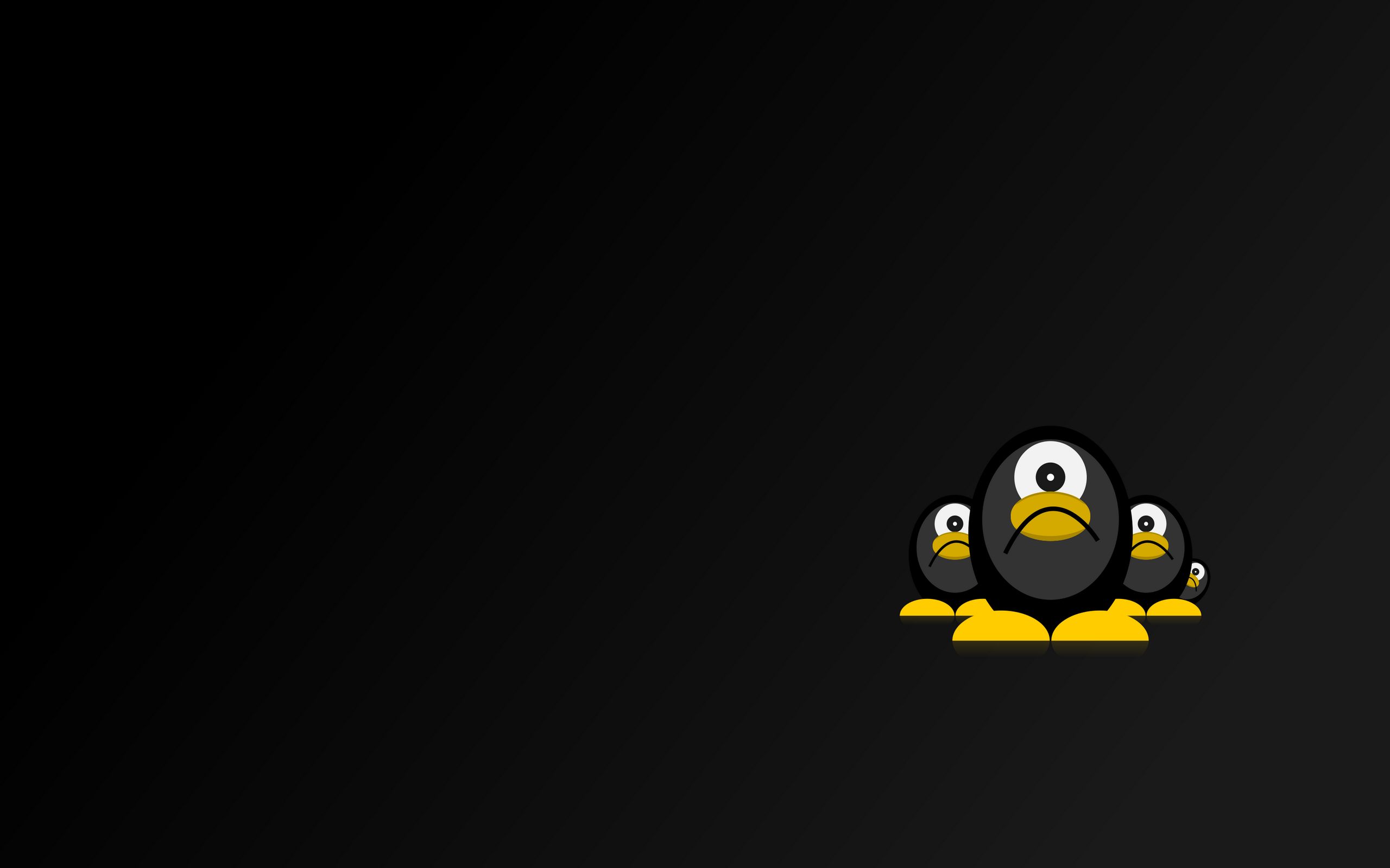 Linux 2560x1600.  Tapeta, tapetka, wallpaper, pozad, wallpaper na plochu